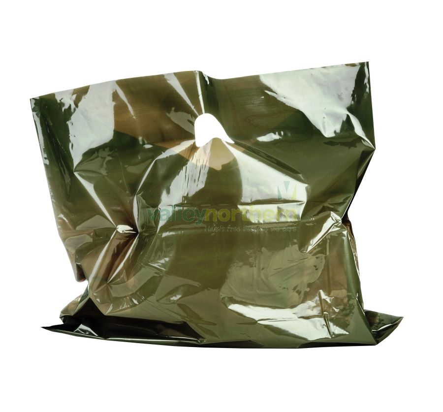 harrods green bag